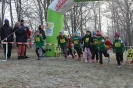 Nikolauscrosslauf 2016 (29)